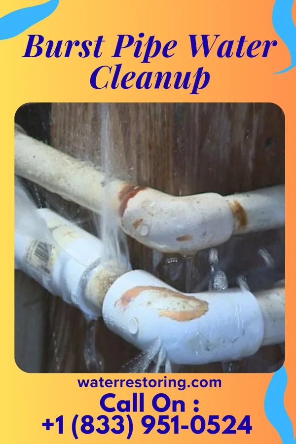 Burst Pipe Water Cleanup in Gandys Beach, NJ