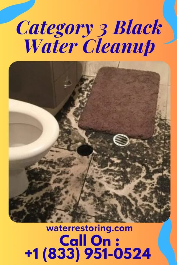 Category 3 Black Water Cleanup in Gandys Beach, NJ