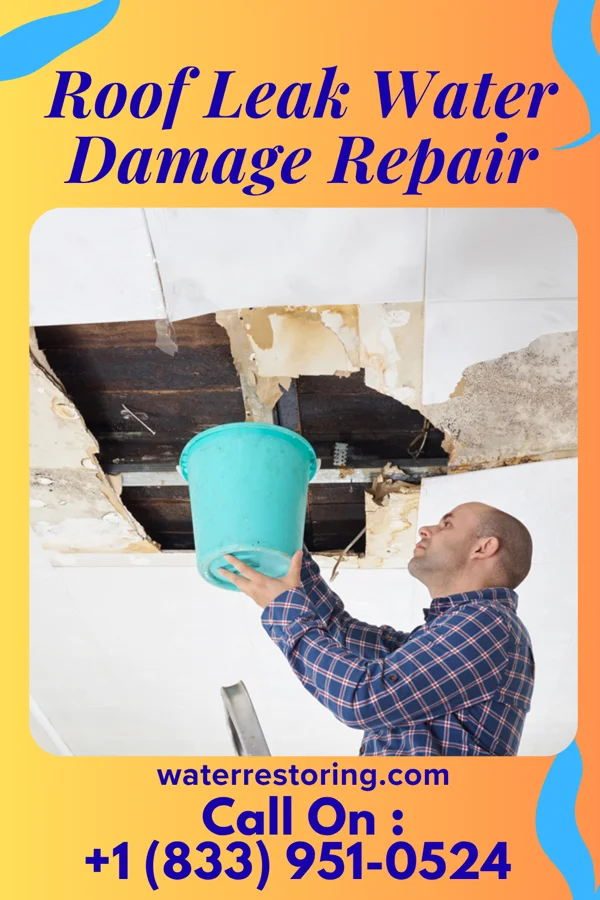 Roof Leak Water Damage Repair in Gandys Beach, NJ